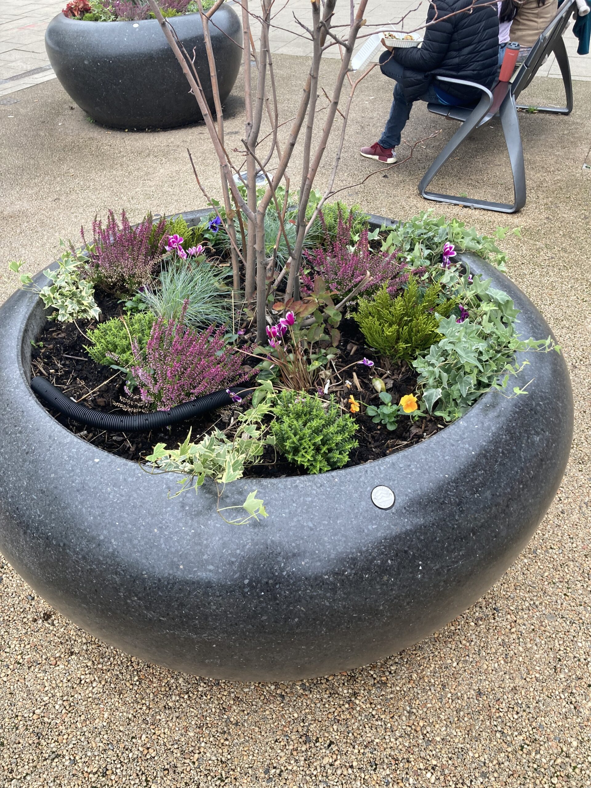 Tribute Flowers Replanted